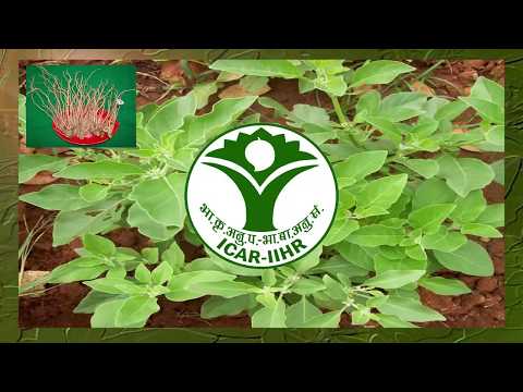 National Horticultural Fair 2018(With Kannada/English/Hindi Subtitles)