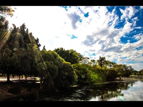 download lagu mp3 mp4 Tomato Season Perth, download lagu Tomato Season Perth gratis, unduh video klip Tomato Season Perth