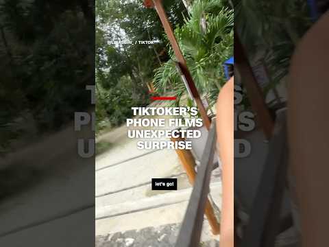 TikToker's phone films unexpected surprise