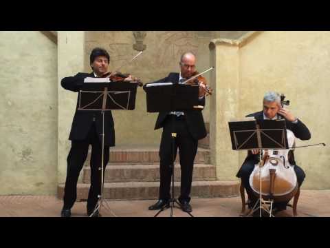 Florence Art Ensemble String Trio Something