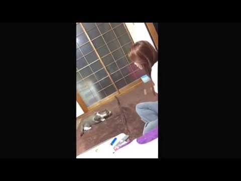 Suki - queimando calorias!