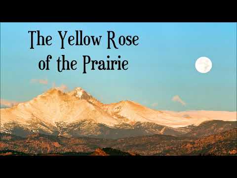 Olavi Virta & Harmony Sisters: Preerian keltainen ruusu [The Yellow Rose of Texas]