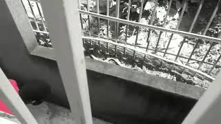 Twebaza - Wake 256 (Omwana Weika)