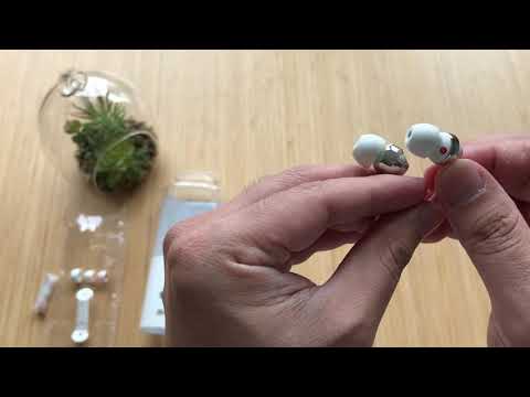 Į ausis įdedamos ausinės Sony MDR-EX110AP su mikrofonu, Raudonos video