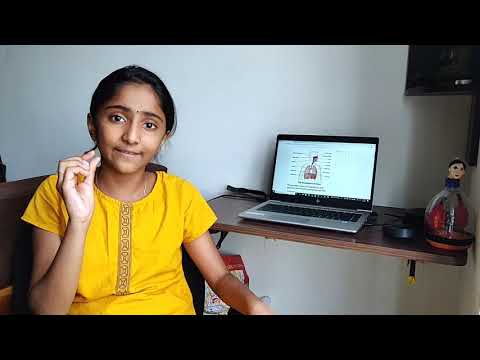 Human Respiratory system : Education: Samyuktha Vijai