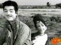 Mullapoo Thailamittu