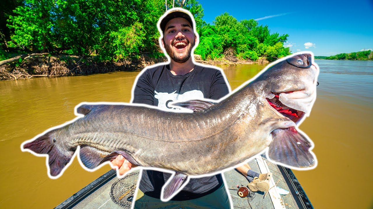 My FIRST TIME Bank Line Fishing for GIANT RIVER CATFISH!