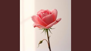 Download lagu Sehidup Semati Ku Pilih Kamu mp3