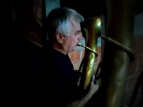 Limena glazba Ravnice - Ciganka mi gatala na travi