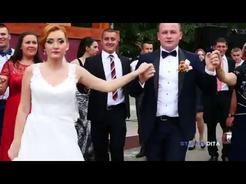 Dumitru Stoicanescu ll Brauri ll Cosmin & Lorena  ll ***Studio DITA***