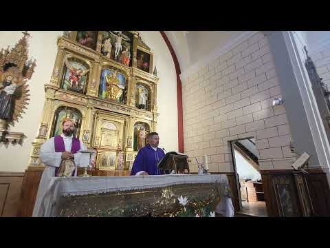 Thumbnail for HILETA (MUSKITZ)