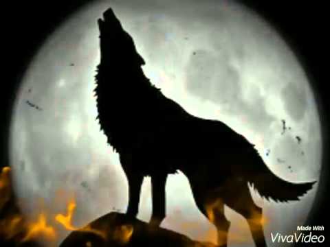 Dambalas fafy ft boby