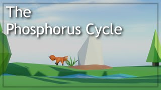 The Phosphorus Cycle - 3D Animation