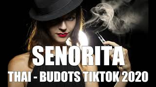Download lagu SENORITA BY DJ NOIZ THAI BUDOTS FT. DJ JHANZKIE 2020 mp3 Download lagu SENORITA BY DJ NOIZ THAI BUDOTS FT. DJ JHANZKIE 2020 mp3