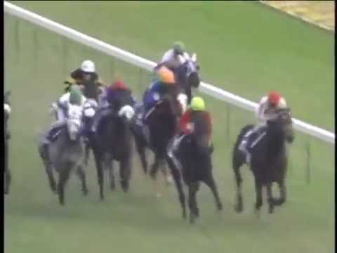 ゼンノロブロイ（Zenno Rob Roy）　ジャパンカップ（Japan Cup） 2004年　競馬G1