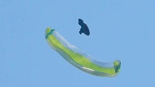 Download lagu Nova mentor 7 light | SIV at Gerlitzen Fliegerbase  mp3 Download lagu Nova mentor 7 light | SIV at Gerlitzen Fliegerbase  mp3