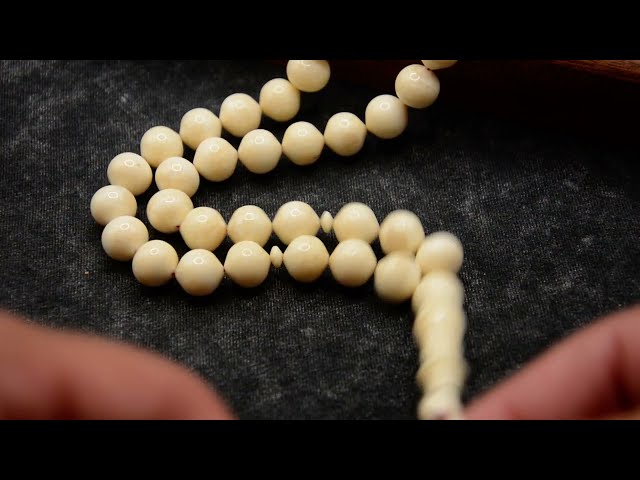 سبحة من ناب الفقمة ( الفظ )