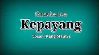 Download lagu kepayang karaoke live mp3