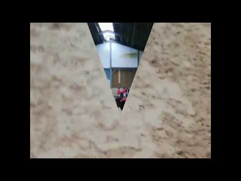 Pony Liga vom 27.01.2019