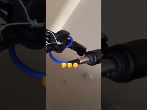 Dreamy KID - Granted (Unreleased)