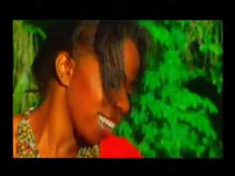 David & Corine - Fol