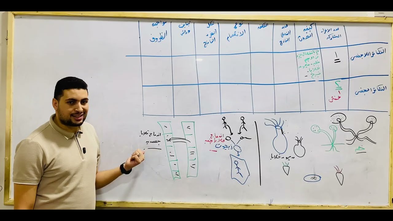 شرح الفرق بين التكاثر اللاجنسي والتكاثر الجنسي والانشطار الثنائي بالافكارا?