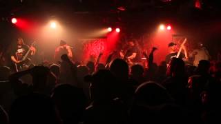 STIGMATA | SECTION 8 | SKINLESS | WAR-TIME MANNER | THE FINAL SLEEP | BORN LOW