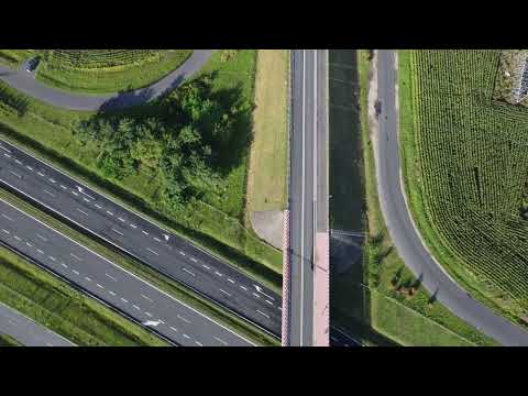 Dąbrówka Palędzie 2 26082023