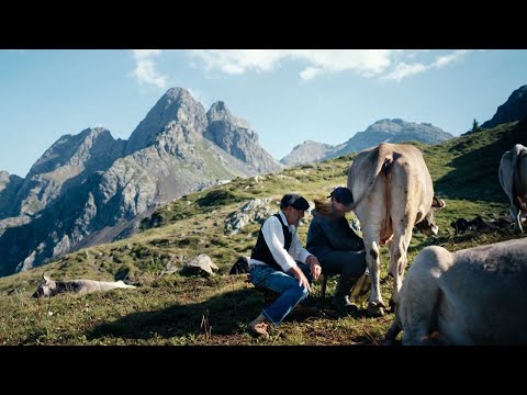 Gort over de Grens (2017-2025)