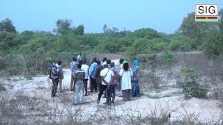 Burkina Faso : bientôt une usine de transformation de piment à Banfora