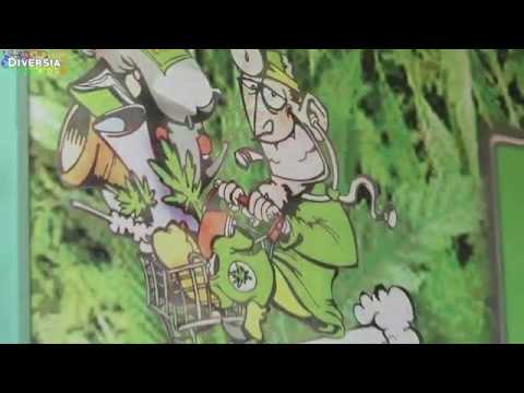 DR COGOLLO - SMART & GROW SHOP - CASTELLÓN DE LA PLANA, SPAIN - STORE WITH CANNABIS PRODUCTS & SEEDS