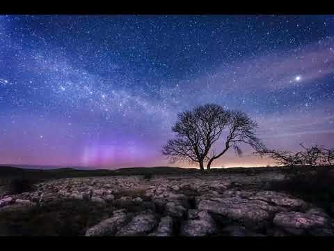 BOBBY SURROUND Hey Hey Mordax Bastards Remix