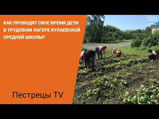 Как проводят свое время дети в трудовом лагере Кулаевской средней школы?