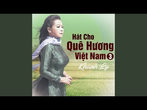 Mưa Hồng