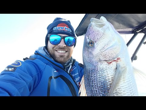 Traina con il vivo - Triplo strike a Capodanno