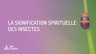 La signification spirituelle des insectes