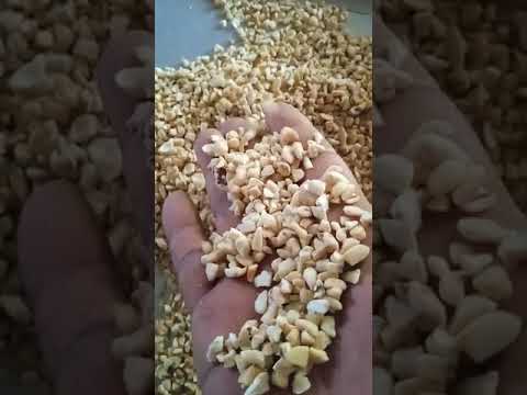 SP2 Split Cashew Nut Imported