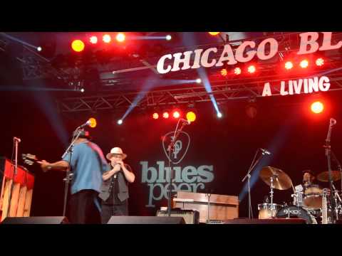 CHICAGO BLUES: A LIVING HISTORY John Primer @ BLUES PEER 2014