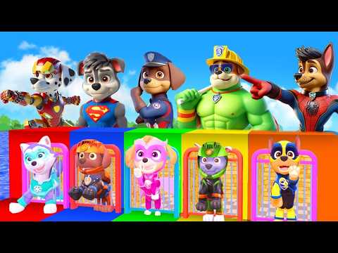 Paw Patrol Ultimate Rescue Game Join Chase and Marshall  Game Funny ESCAPE ROOM CHALLENGE