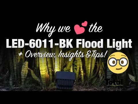 Why we LOVE the LED-6011-BK Outdoor Landscape Lighting Flood Light + overview, insights & tips