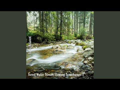 Forest Water Stream Flowing Soundscape, Pt. 20