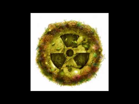 Atomic Garden (Acoustic cover)