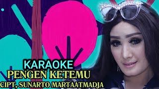 Download lagu KARAOAKE PENGEN KETEMU Cipt. Sunarto Martaatmadja- NUNUNG ALVI. mp3 Download lagu KARAOAKE PENGEN KETEMU Cipt. Sunarto Martaatmadja- NUNUNG ALVI. mp3