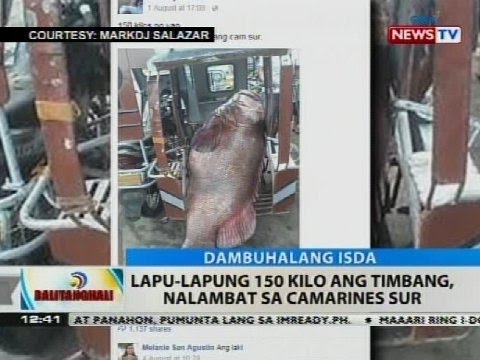 Paano sa mawala timbang na may repolyo Ako ay nakikibahagi sa gym at hindi nawawala ang timbang para sa ilang kadahilanan