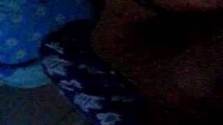 T-dimension Warranty Video. v6 Maxx Issues