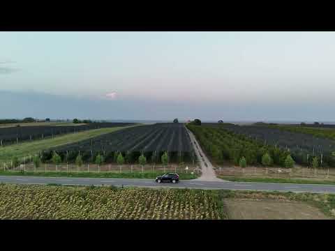 Car Cruising Through Vojvodina at Sunset 🌅 | 4K Drone Cinematic