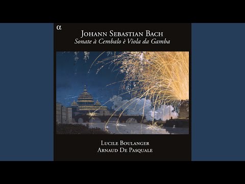 Sonate pour clavecin obligé et viole de gambe in G Minor, BWV 1029: I. Vivace