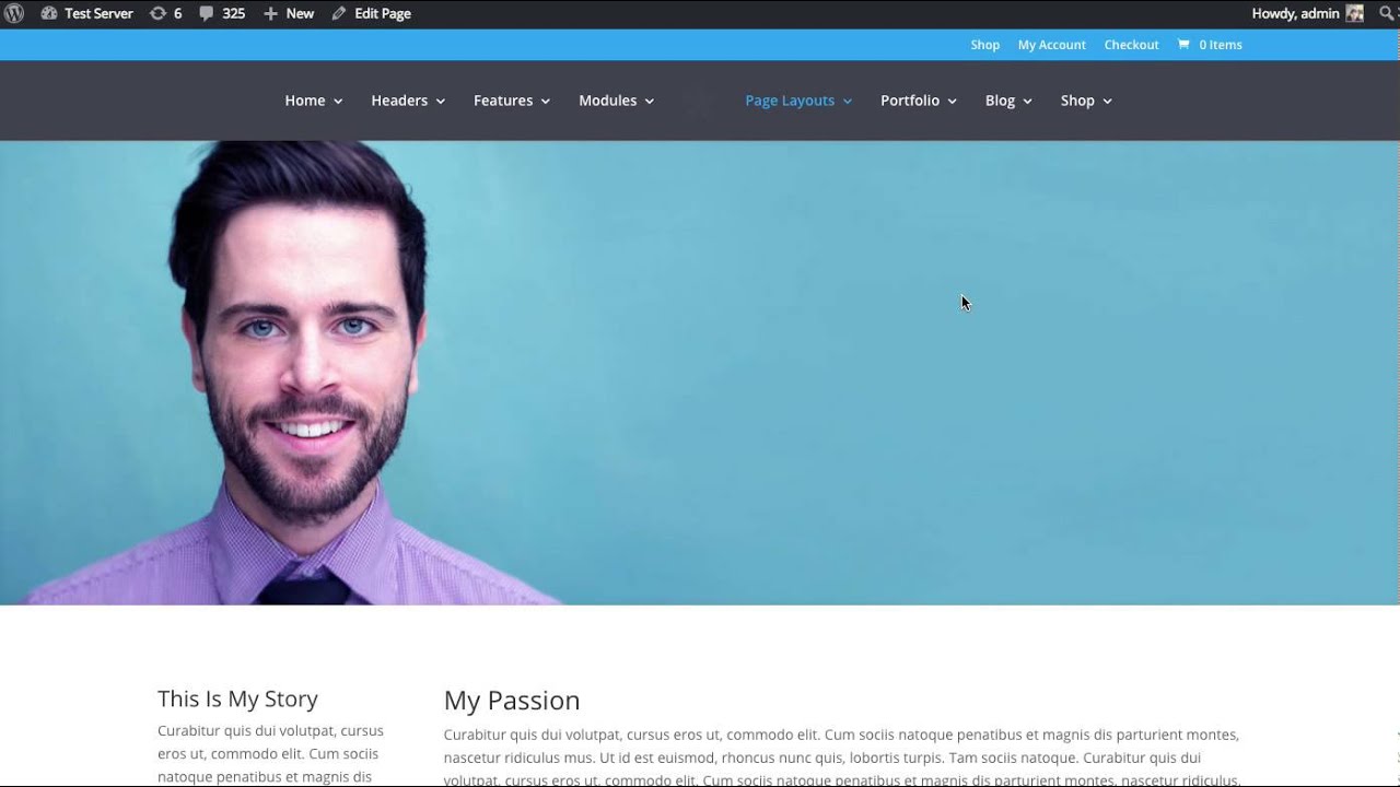 The Divi Builder Portfolio Module