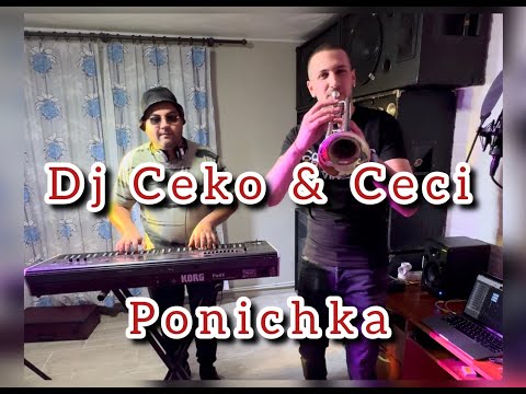 DJ CEKO & CECI - PONICHKA MASHUP 2024 //home remix edition//