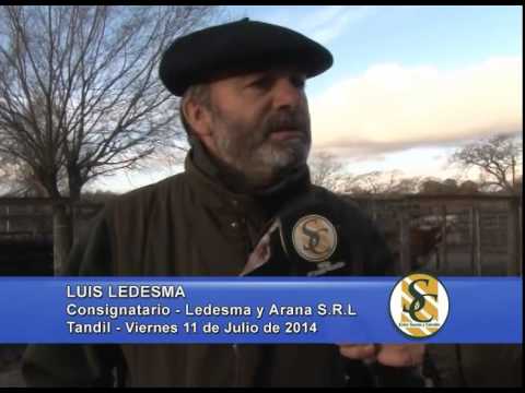 Ledesma y Arana S.R.L. - Luis Ledesma - Tandil - 11/07/2014